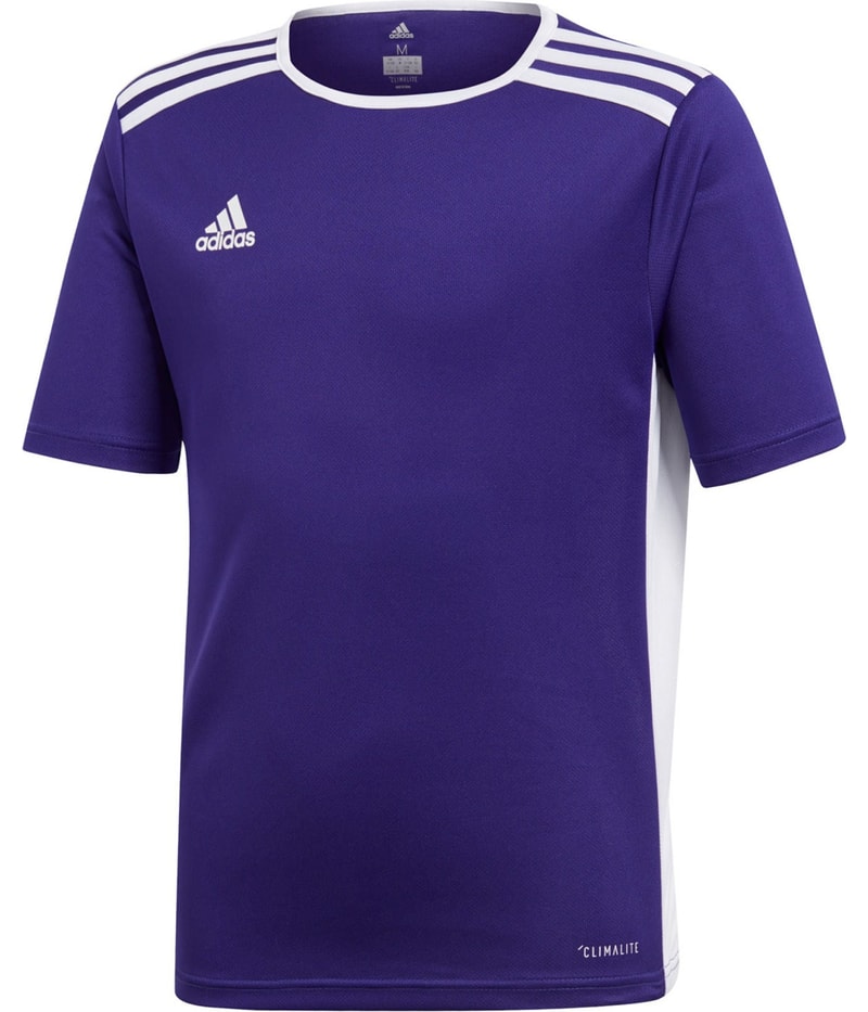Adidas Boys Entrada 18 Soccer Jersey in Purple